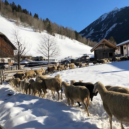 Vila Auerhof Schladming Exteriér fotografie