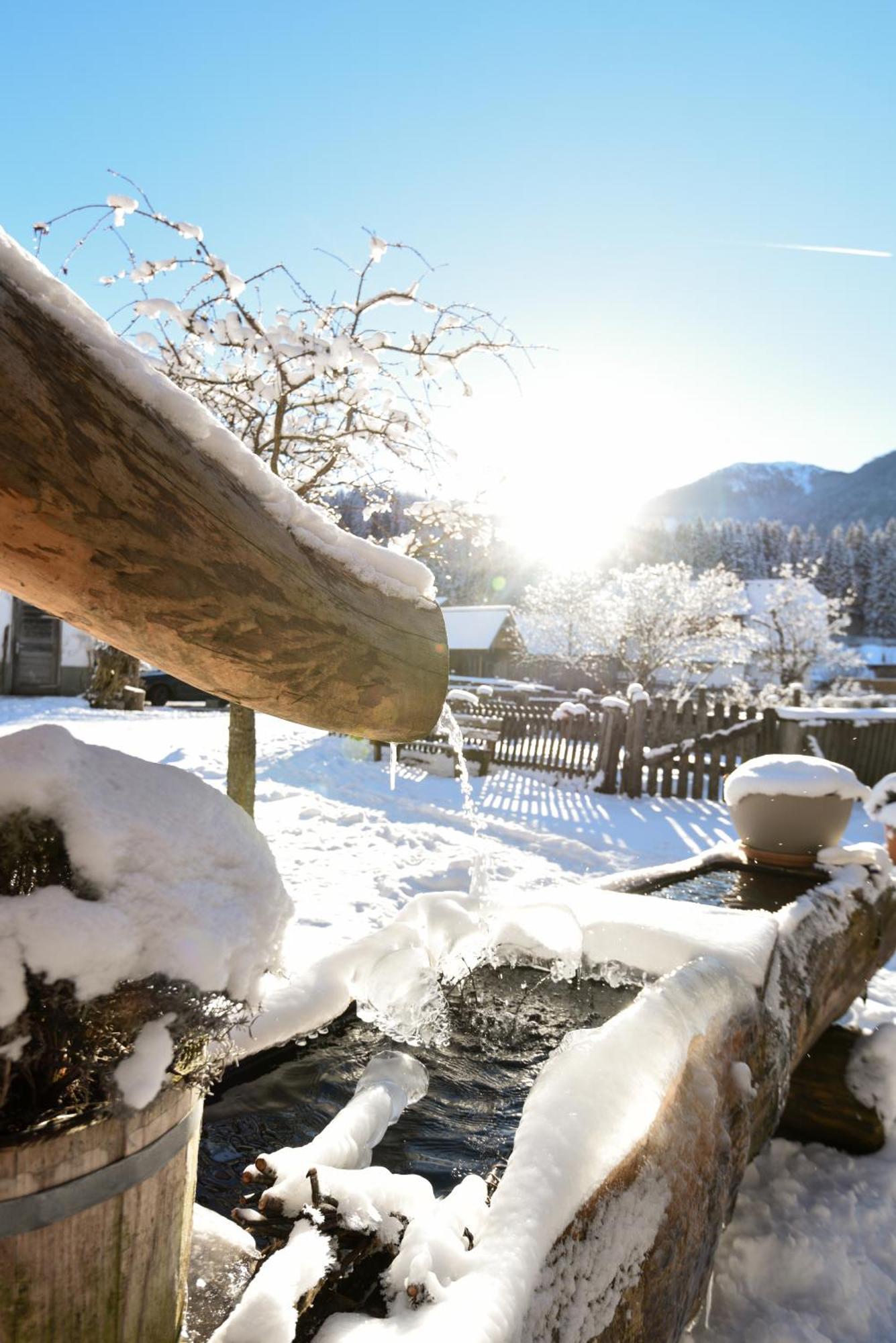 Vila Auerhof Schladming Exteriér fotografie