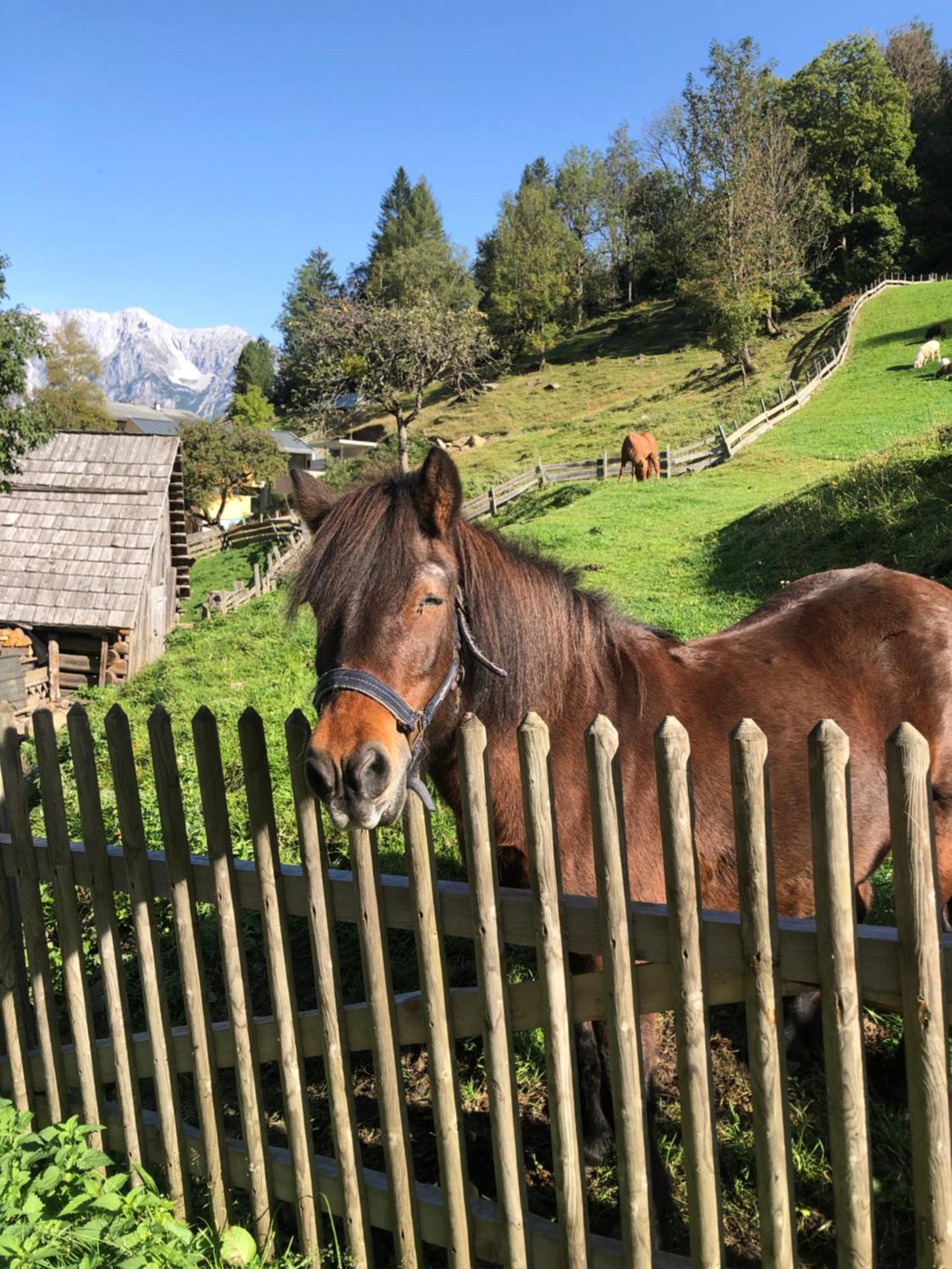 Vila Auerhof Schladming Exteriér fotografie
