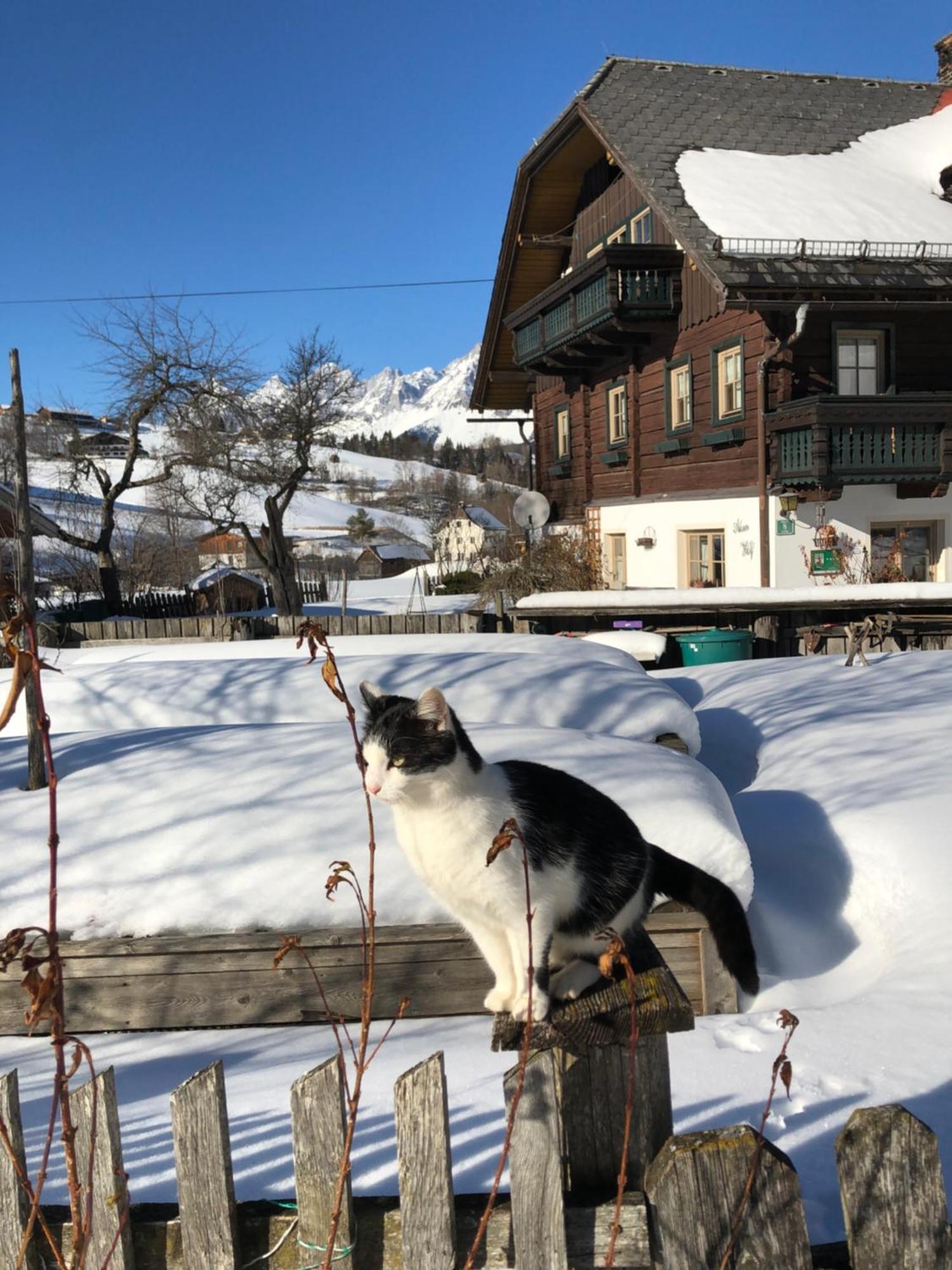 Vila Auerhof Schladming Exteriér fotografie