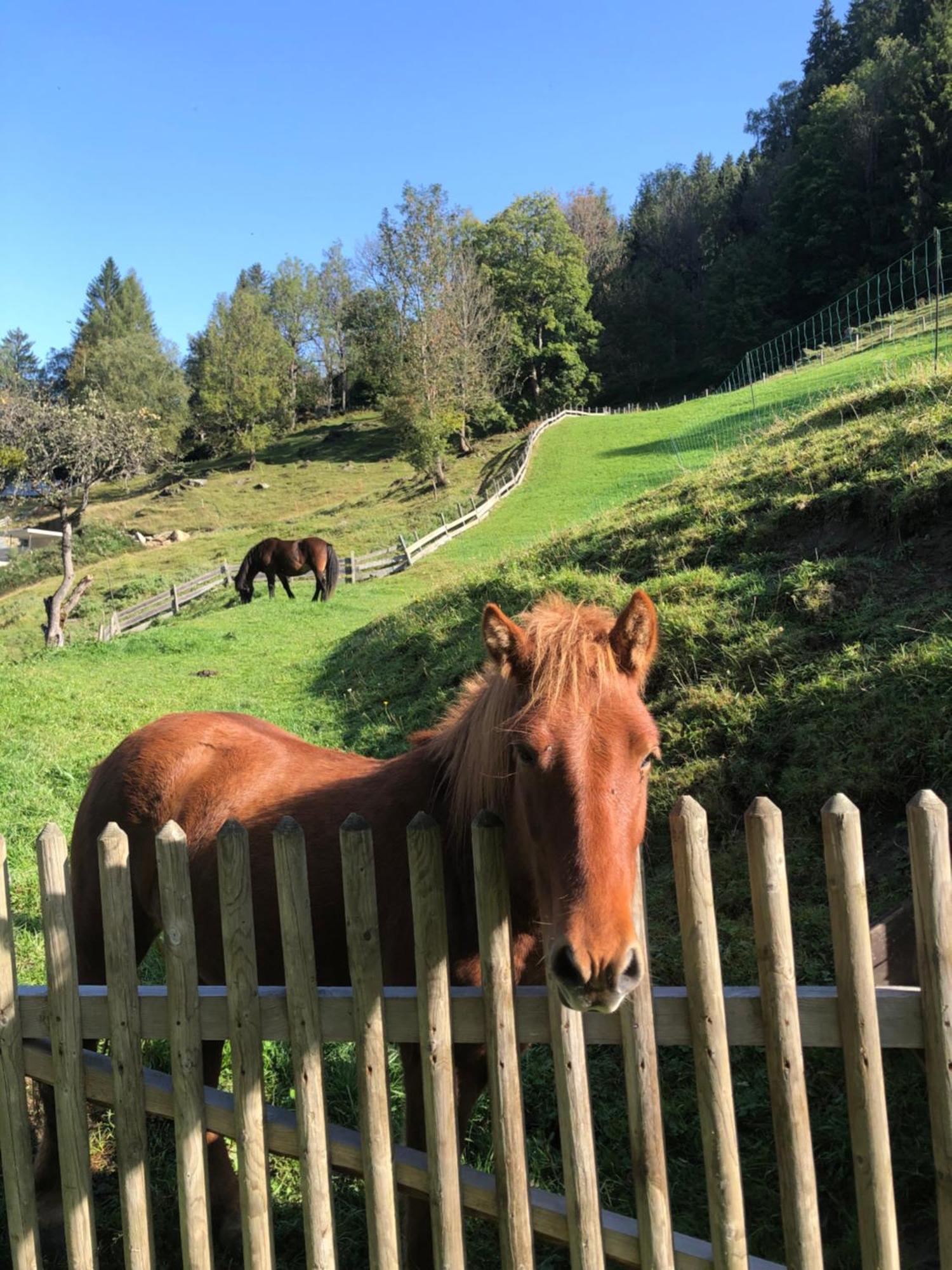 Vila Auerhof Schladming Exteriér fotografie