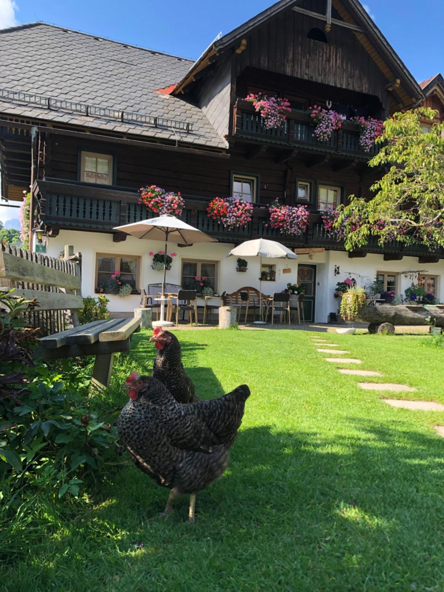 Vila Auerhof Schladming Exteriér fotografie